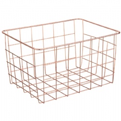 Metallic Collection Storage Basket